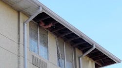 Hurricane Michael 1 Hurricane Michael 1