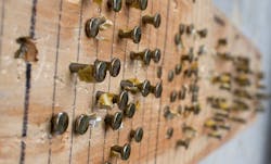 66fd81fa1e06e5e6e4a3e48f Nailsproud2crop 66fd81fa1e06e5e6e4a3e48f Nailsproud2crop