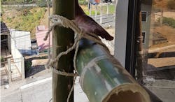 66fd8215341b122ddceae1f4 1lead20shothoriz 66fd8215341b122ddceae1f4 1lead20shothoriz