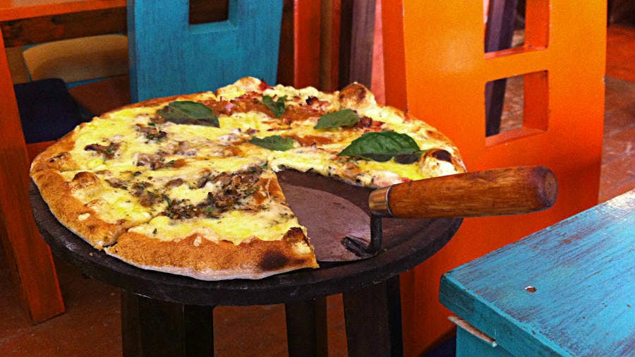 66fd821c81ad25b2a71867b0 Masonsquichtrowel1