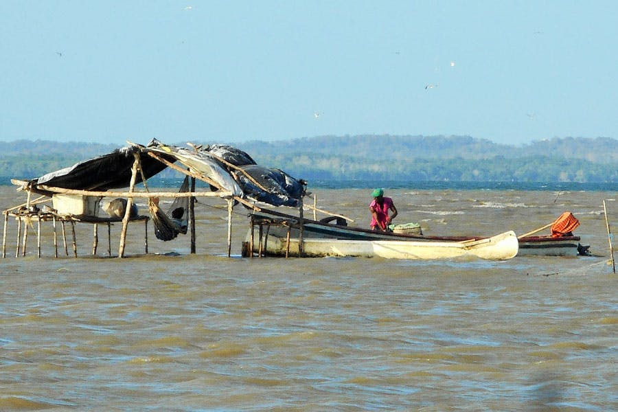 66fd82211e06e58a49a3e501 Liveworkbalance