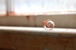 66fd822170394442074d1528 Woodshavinghullhistorical 0 66fd822170394442074d1528 Woodshavinghullhistorical 0