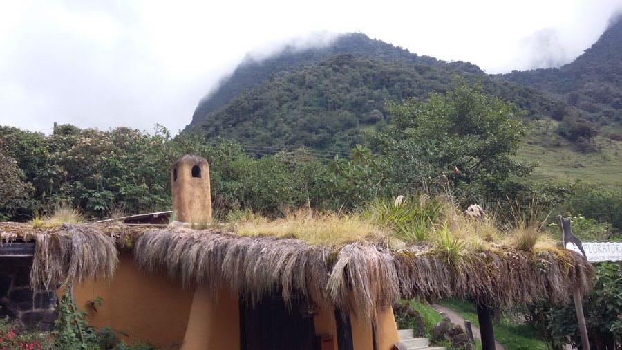 66fd8222e76dba4c9f949573 20160113 102644