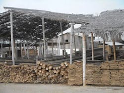 66fd822a1e06e52e60a3e513 Image 18 66fd822a1e06e52e60a3e513 Image 18