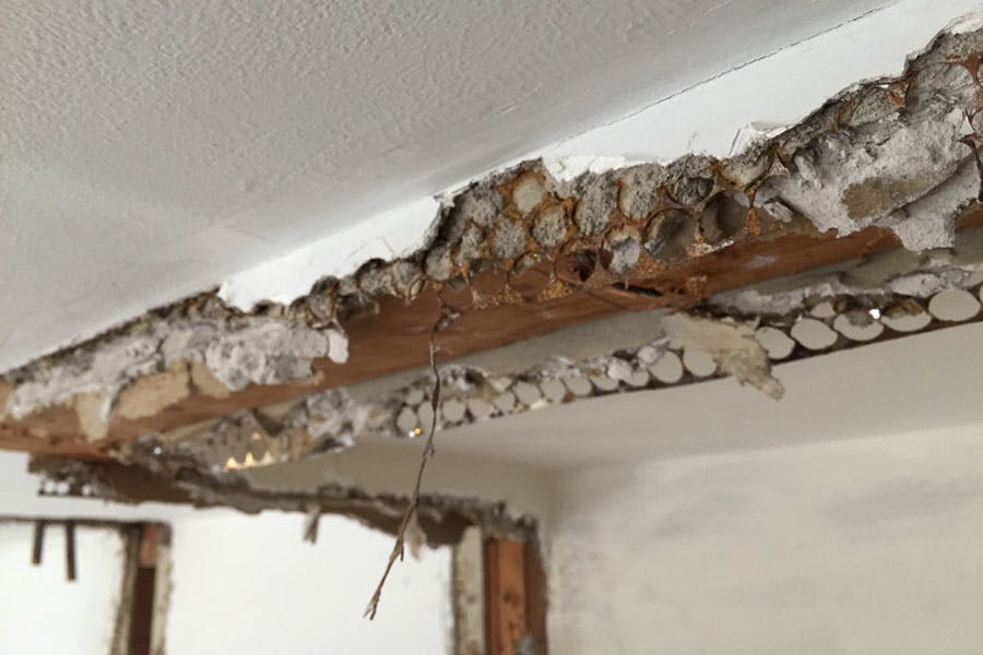 66fd822d341b12b136eae227 Wiremeshcornerbead900w 0