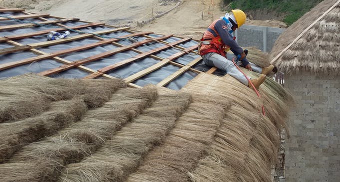 66fd822fe76dbace5c94959c Palmroof