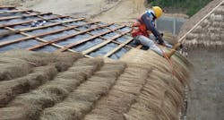 66fd822fe76dbace5c94959c Palmroof 66fd822fe76dbace5c94959c Palmroof