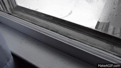 66fd8231e63fdc1185455372 Leakywindow 0