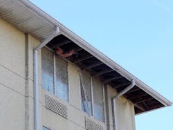 Hurricane Michael 1 Hurricane Michael 1