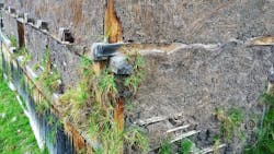 Tropical Timber Framing Lumber Hardwood Cabinets 8b Tropical Timber Framing Lumber Hardwood Cabinets 8b