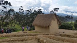 Tropical Timber Framing Lumber Hardwood Cabinets 8b 2 Tropical Timber Framing Lumber Hardwood Cabinets 8b 2