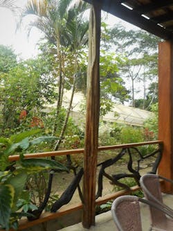 Tropical Timber Framing Lumber Hardwood Cabinets 6c 2 Tropical Timber Framing Lumber Hardwood Cabinets 6c 2