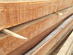 Tropical Timber Framing Lumber Hardwood Cabinets 7 Tropical Timber Framing Lumber Hardwood Cabinets 7