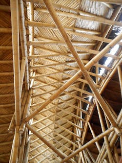 Tropical Timber Framing Lumber Hardwood Cabinets 13b Tropical Timber Framing Lumber Hardwood Cabinets 13b