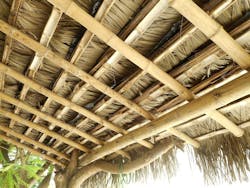 Tropical Timber Framing Lumber Hardwood Cabinets 13c Tropical Timber Framing Lumber Hardwood Cabinets 13c