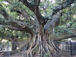 Architectural Postcards Buenos Aires Pic B7 Architectural Postcards Buenos Aires Pic B7