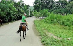 Cisterna Cottage 06 Cisterna Cottage 06