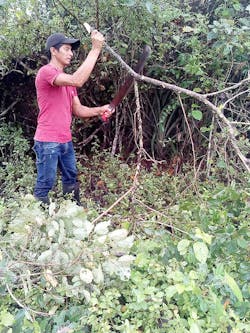 Cisterna Cottage 07 1 Cisterna Cottage 07 1