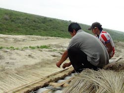 Cisterna Cottage 11 Cisterna Cottage 11