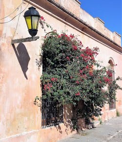 Architectural Postcards Chile Uraguay C16 Architectural Postcards Chile Uraguay C16