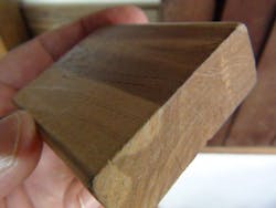 Pic 2 Chanul Closeup Pic 2 Chanul Closeup