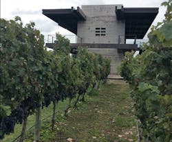 Fernando Ruiz Mendoza M5 Vinyard Fernando Ruiz Mendoza M5 Vinyard