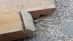 Wood Notched Wood Notched