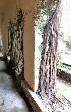 Carribean Homes 19 5 Carribean Homes 19 5