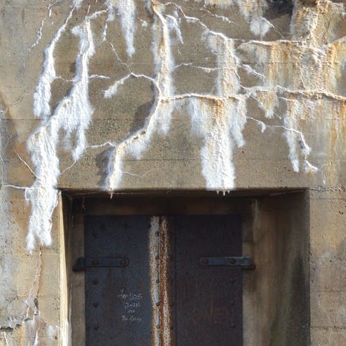 6717bc52f0cc1db7ee40f641 Artworks00019651704620f71nt500x500