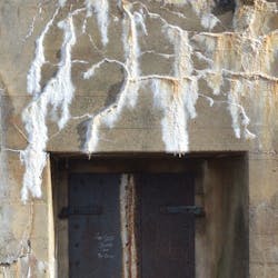 6717bc52f0cc1db7ee40f641 Artworks00019651704620f71nt500x500 6717bc52f0cc1db7ee40f641 Artworks00019651704620f71nt500x500