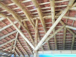 5 %20 Even%20the%20braces%20have%20grace 0 5 %20 Even%20the%20braces%20have%20grace 0