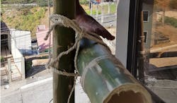 1 Lead%20shot Horiz 1 Lead%20shot Horiz