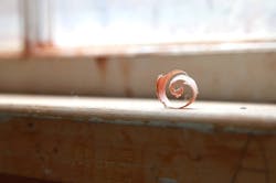 Wood Shaving Hull Historical Wood Shaving Hull Historical