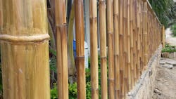 Faux Cane 1 900w Faux Cane 1 900w