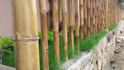 Faux Cane 2 900w Faux Cane 2 900w