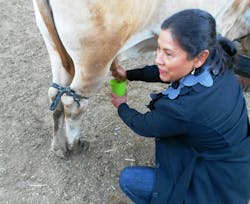 Pajarete 12 2012%20341 Pajarete 12 2012%20341