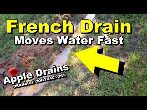 Oe Md Ho0 Nng Ah Ma Dka J1 O59 T Gx1 Qw 00 E6 I Ma Us Vf Cx E