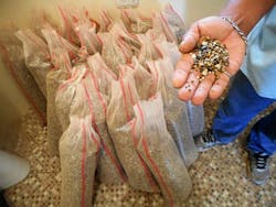 13%20 %20grains%20of%20granito 13%20 %20grains%20of%20granito