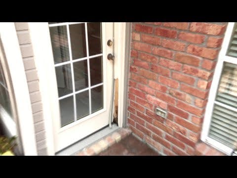 D Xu G6ae A4f3nqw0ddv Mg Uc Yjx8u Q7 Q Qc Dl Jm Sd Vk E