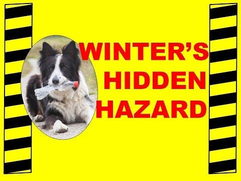 Pc 88prm G Qrij Fpg L8 Oaja Xr0tni Jk9 Kg1b7 Xw 5 Ba