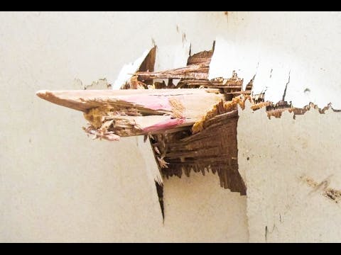 Ns Sr6 D Bk T Gci Jy Mrbh El Sm Q7 E Gr Fw L3xyhv Ogq I