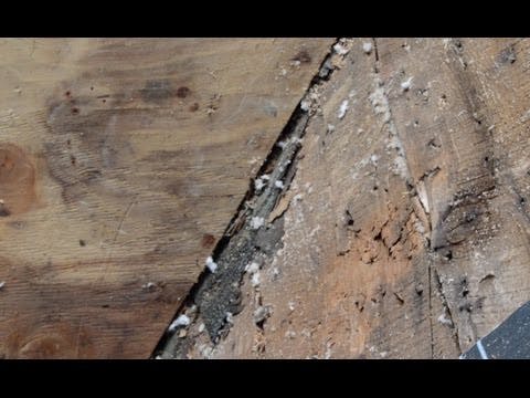 E8w D0e8 Vv Lse37a Nf Cze Za Lueh F Ji86 Ib J Ua7i Mtq Y