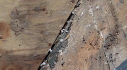 E8w D0e8 Vv Lse37a Nf Cze Za Lueh F Ji86 Ib J Ua7i Mtq Y E8w D0e8 Vv Lse37a Nf Cze Za Lueh F Ji86 Ib J Ua7i Mtq Y